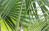 Tropical Espace